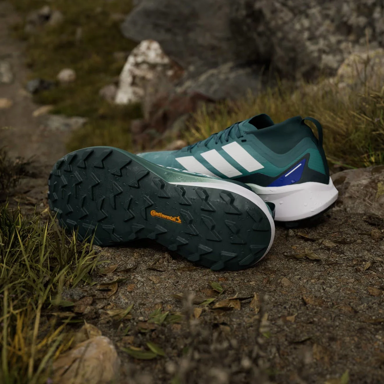 Adidas Terrex Agravic GTX Trail Running Shoes Preloved Teal / Cloud White / Semi Lucid Blue - Image 3