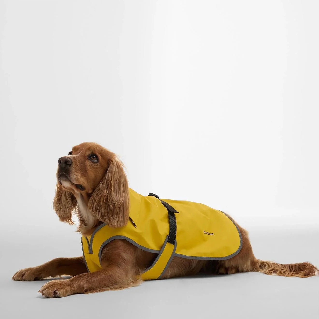 Barbour Evie Waterproof Dog Coat Limeade - Image 3