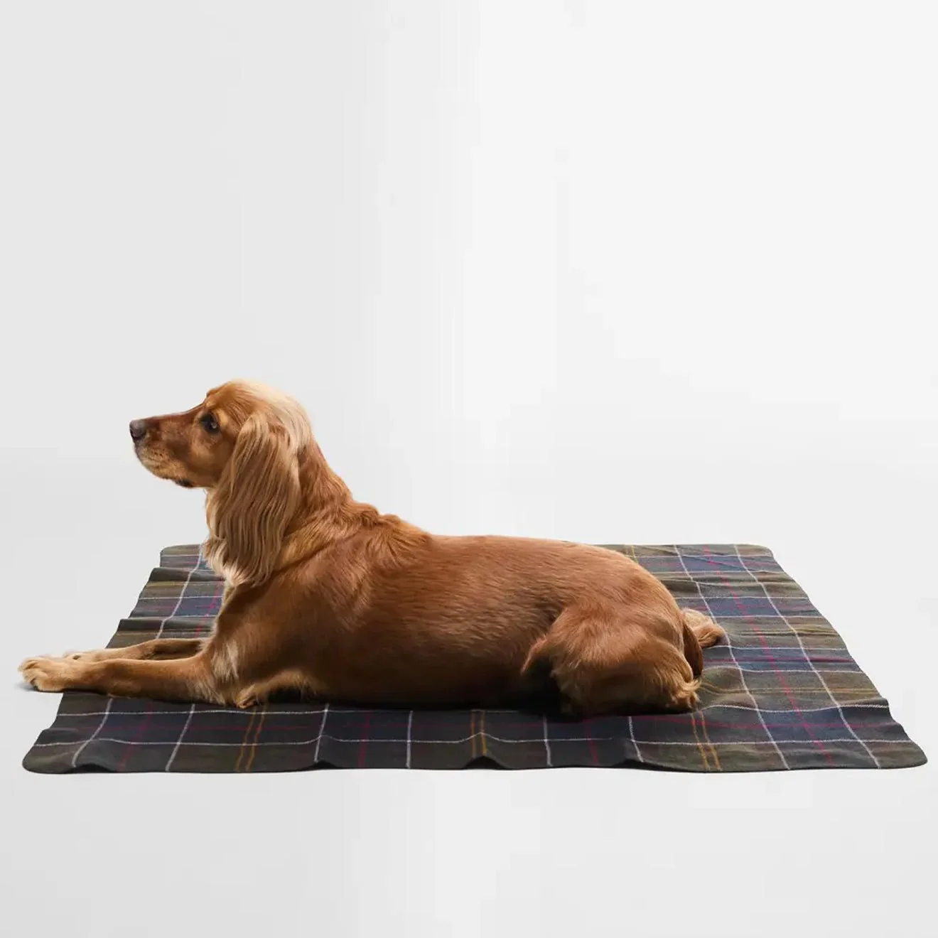 Barbour Tartan Dog Blanket Classic Tartan - Image 3