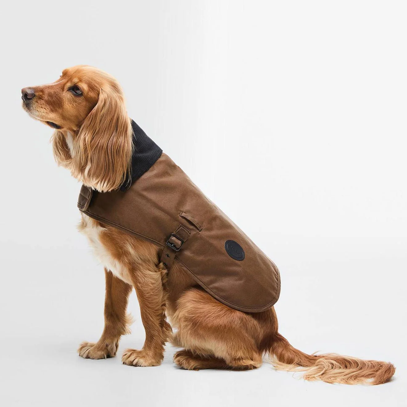 Barbour Waxed Dog Coat Tan - Image 6