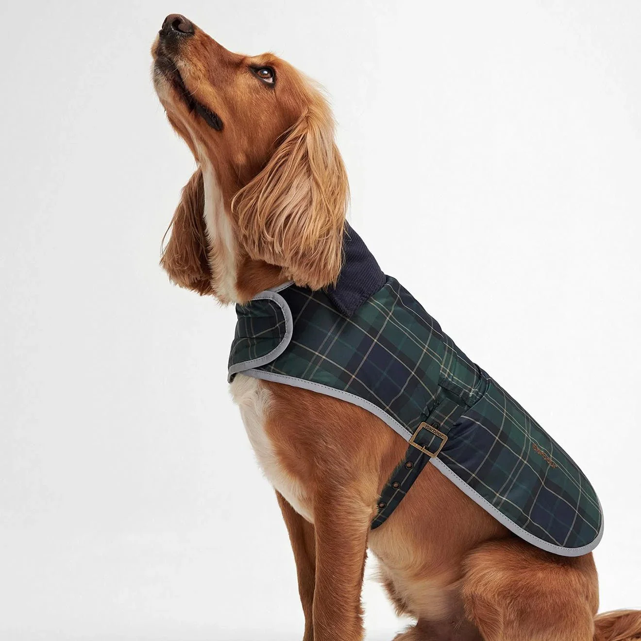 Barbour Wetherham Tartan Dog Coat Green Loch Tartan - Image 2